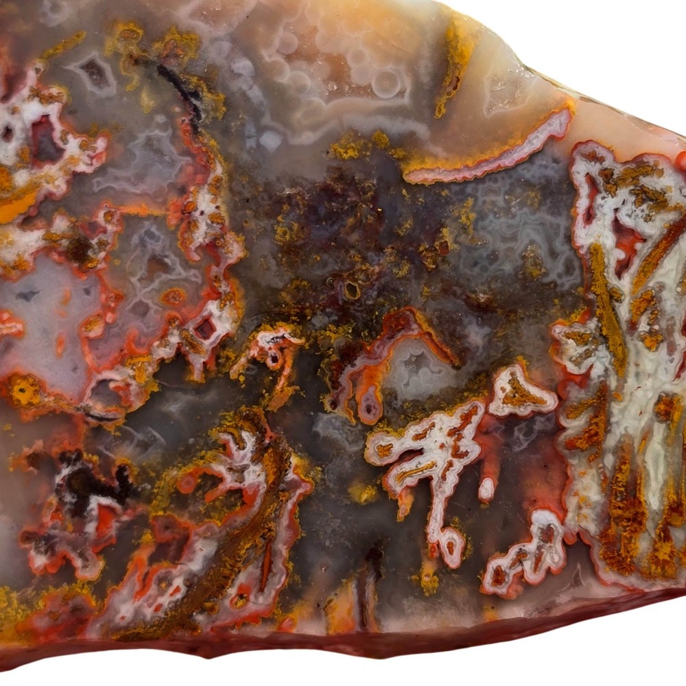 Apple Valley Agate Slab - Wintry Scene with Pseudomorphic Moss