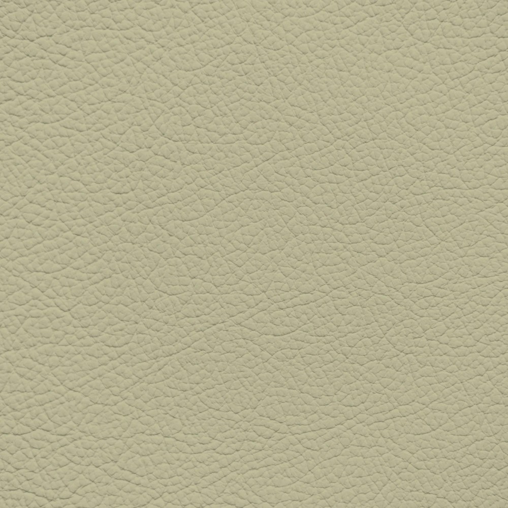 GM Neutral Shale Leather Dye