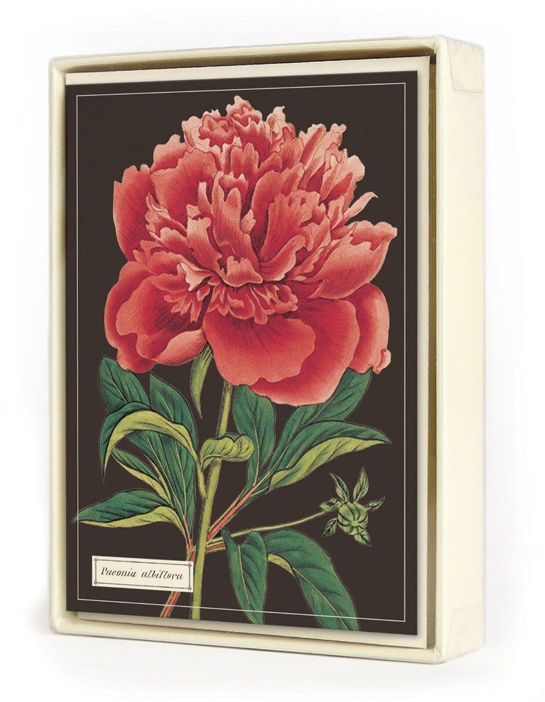Cavallini & Co. Botanical Boxed Notecards, Assorted