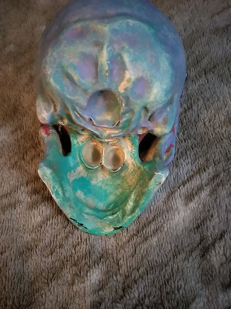 Decrotive Skull - Colorful