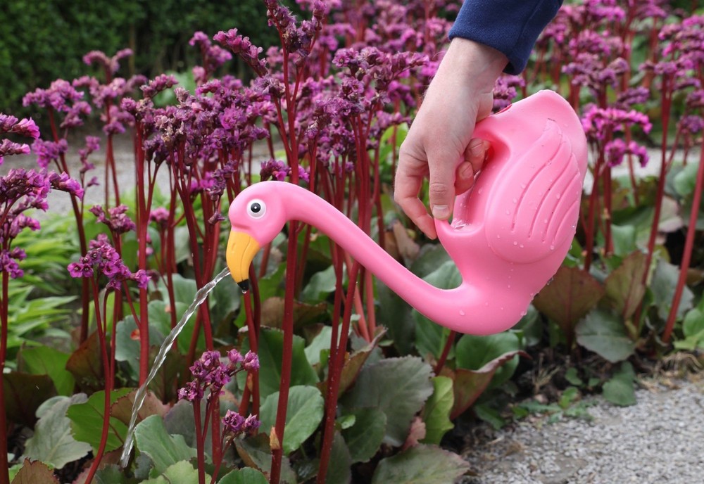 TG229 Flamingo Watering Can