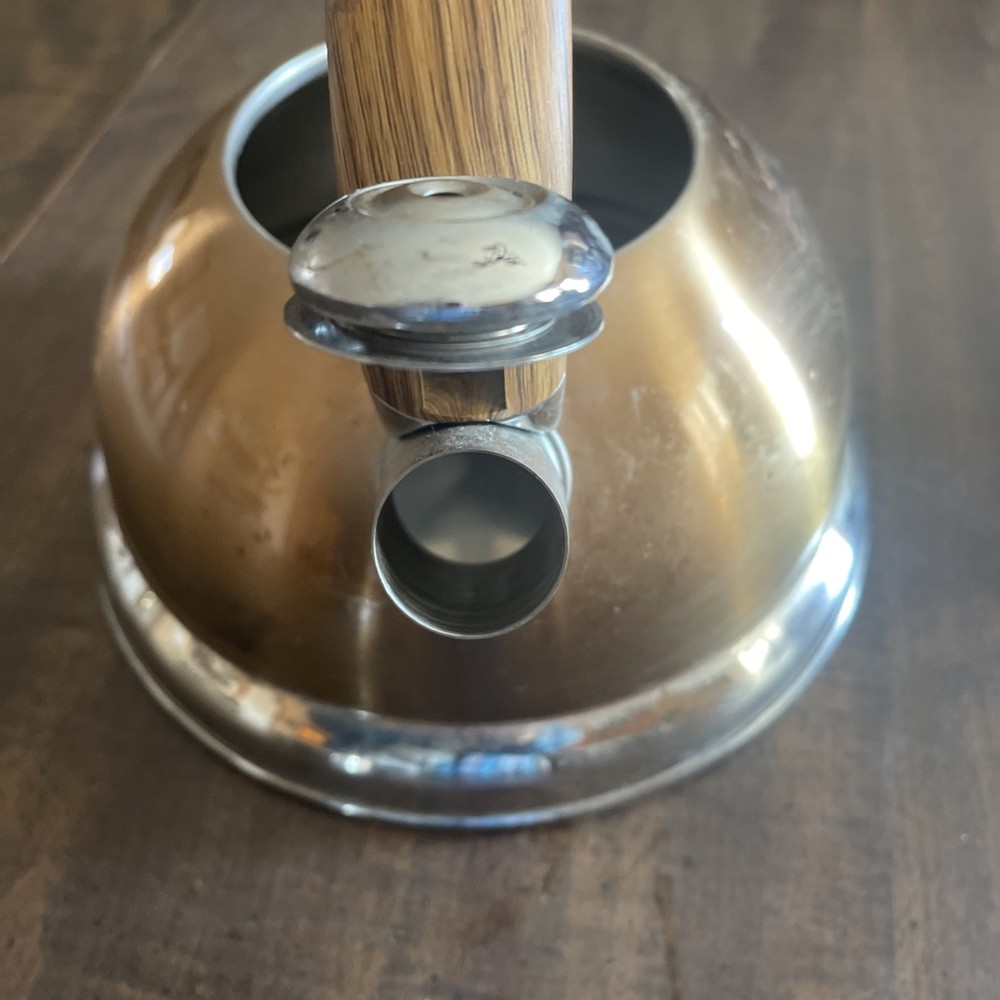 Balduzzi Italian Style Induction Tea Kettle Soft Touch Handle Stainless Steel