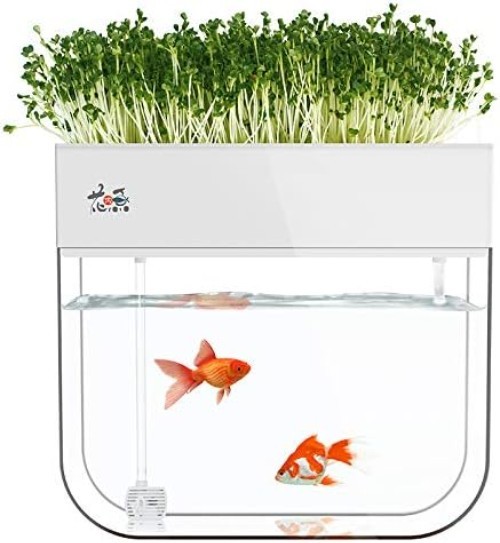 Aquaponic Fish Tank & Seed Sprouter System