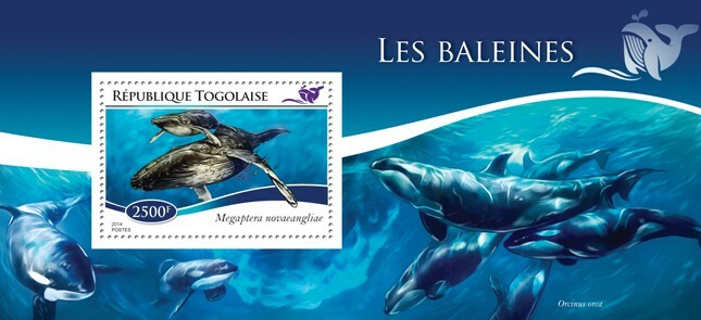 2014 TOGO MNH. WHALES    |  Y&T Code: 948  |  Michel Code: 6430 / Bl.1103