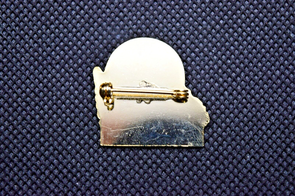 Ski Colorado Ski Pin