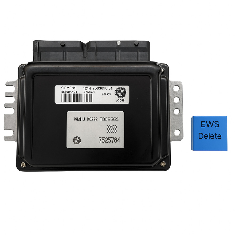 R53 Mini Cooper S EWS Delete Service - Fully Plug and Play with Delete Module
