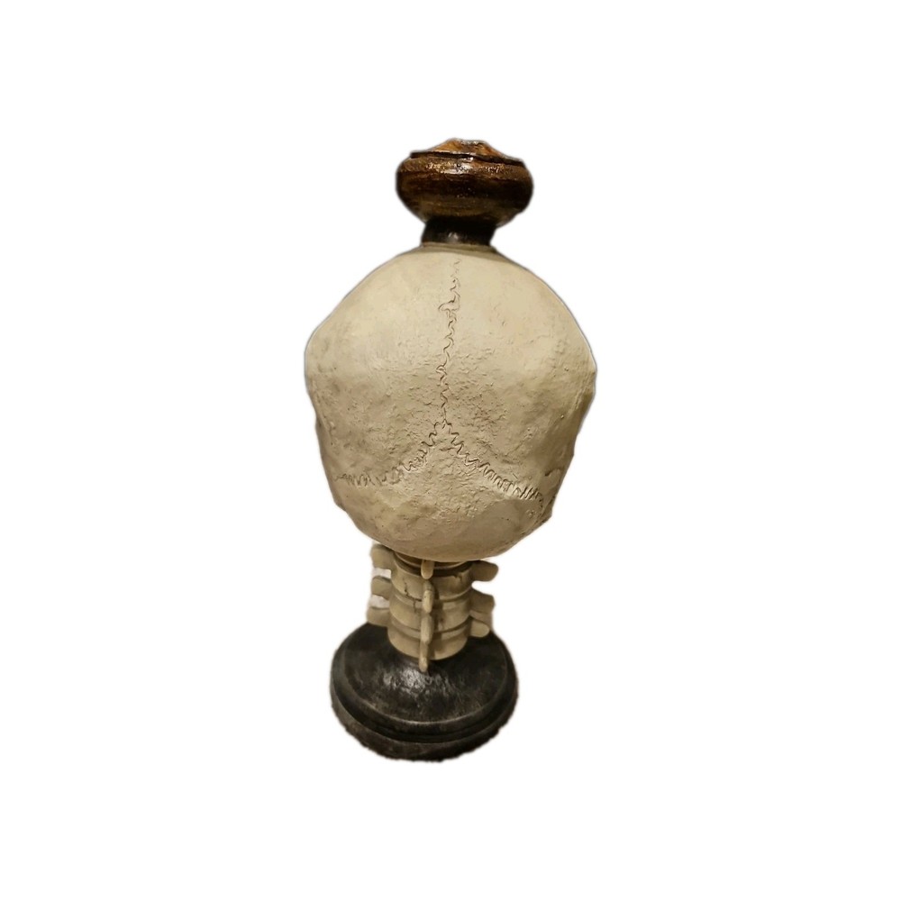 Skull Pedestal Decoration