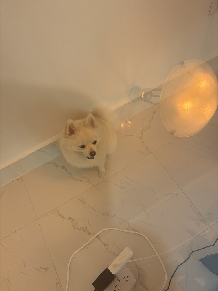 Tiffen 85B (7785B) 77 mm Filter