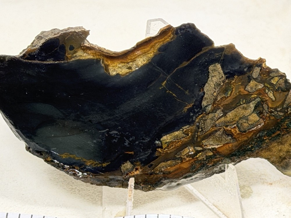 Blue Mountain Jasper Slab Set, Lot #341