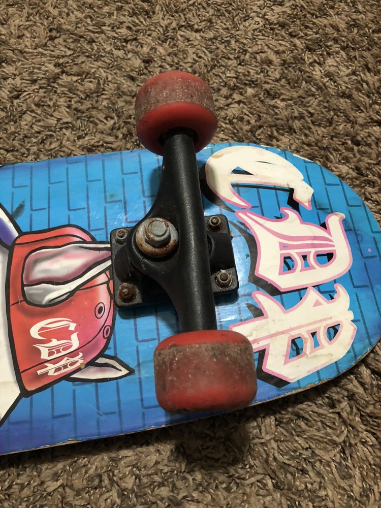 County Dogpound Skateboard Used
