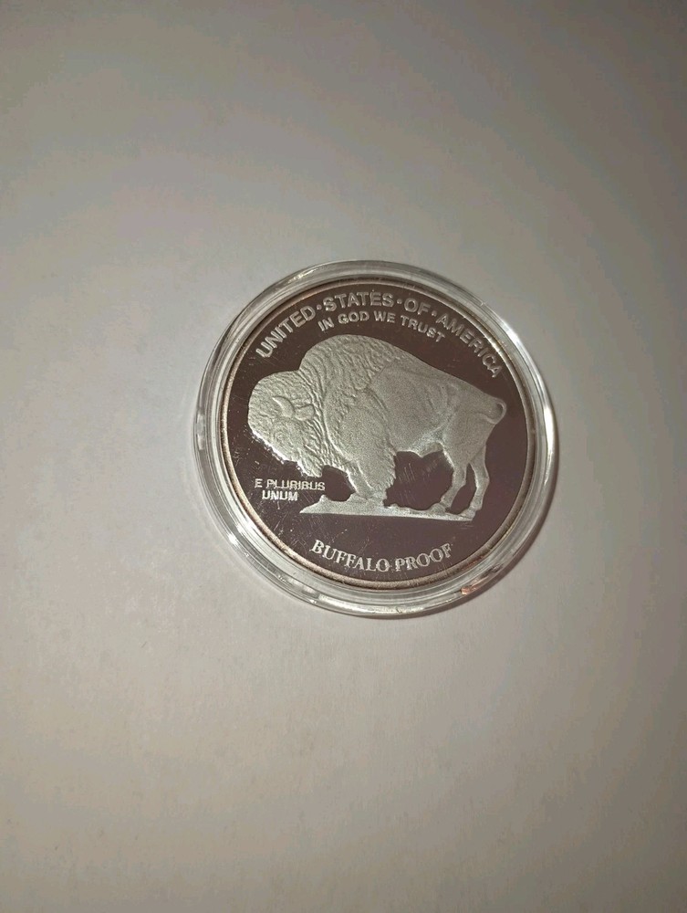 2008 BUFFALO PROOF TRBUTE COIN !