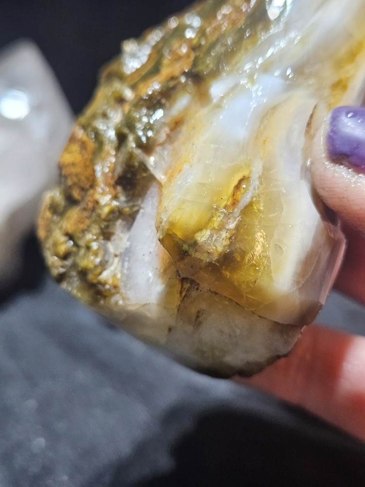 Petrified Wood Opalized Multicolored Polished Specimen (8.4oz)