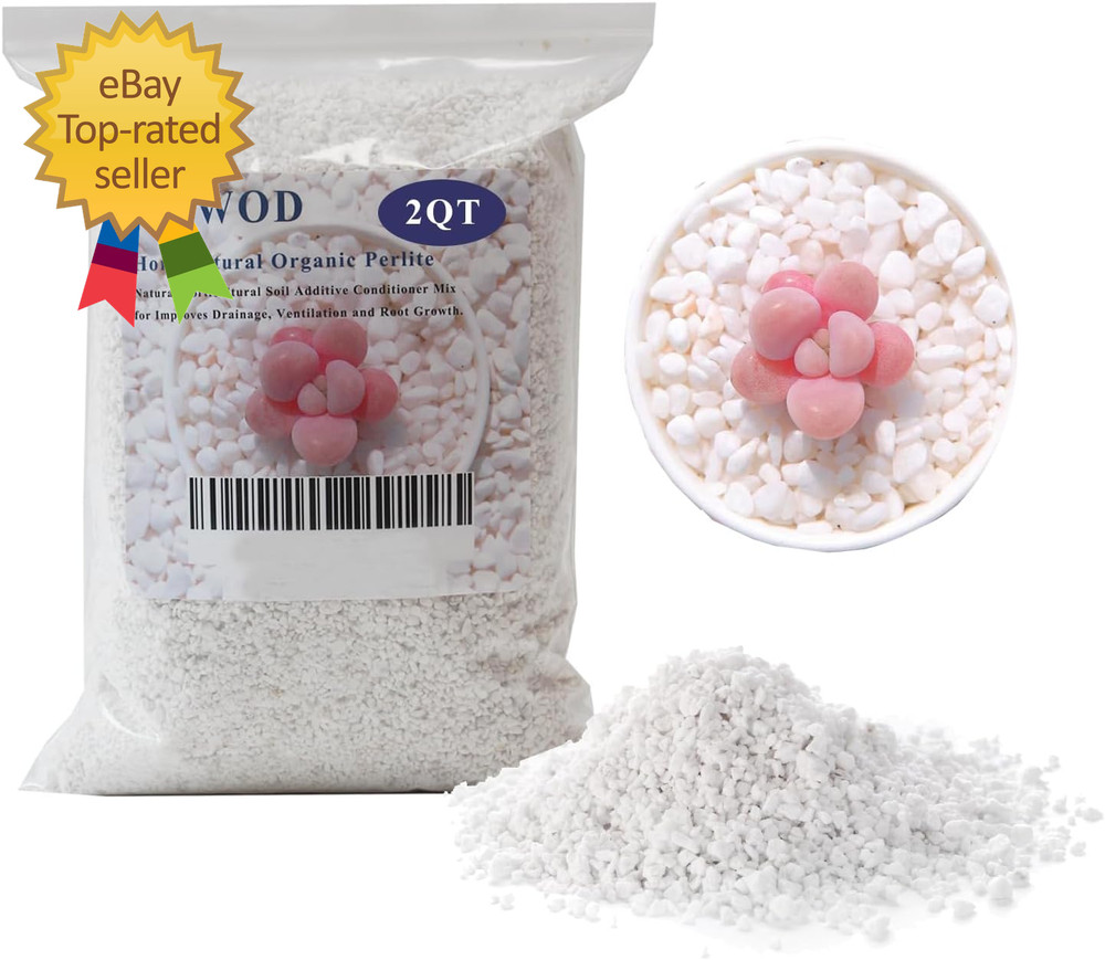 2 Quart Organic Perlite Horticultural Soil Amendment for Plants and Enhanced