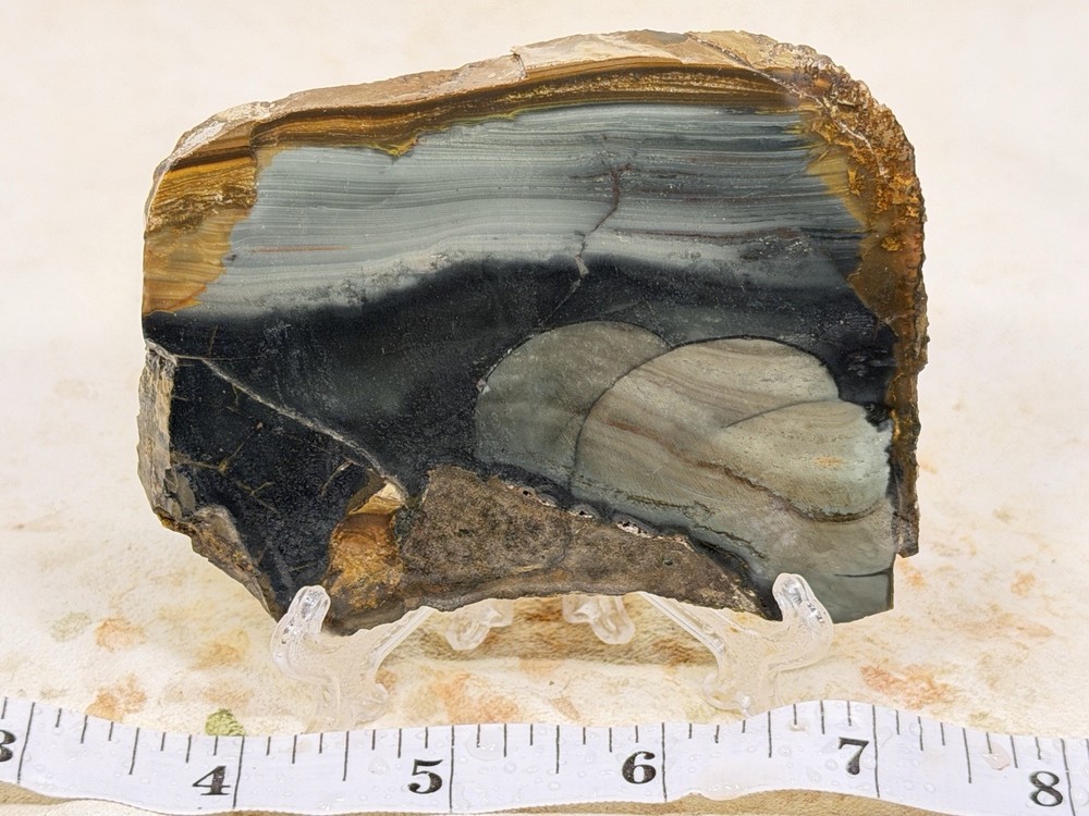 Blue Mountain Jasper Slab, Lot#28