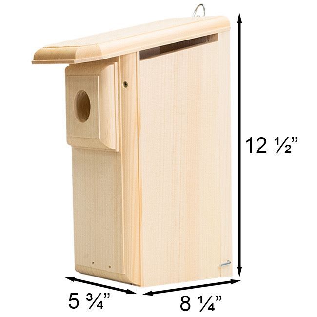 Coveside Observation Bluebird House