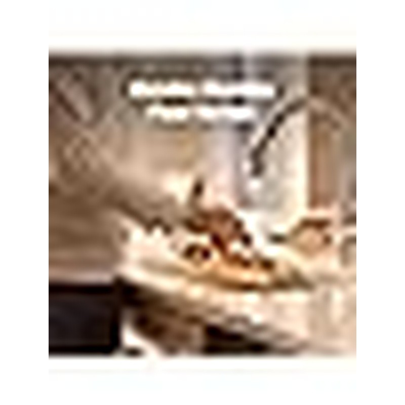 1 3 HP Garbage Disposal Compact Kitchen Waste Easy Install Durable Grinder New