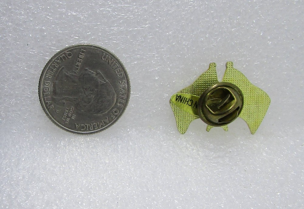Checkered Flags Pin