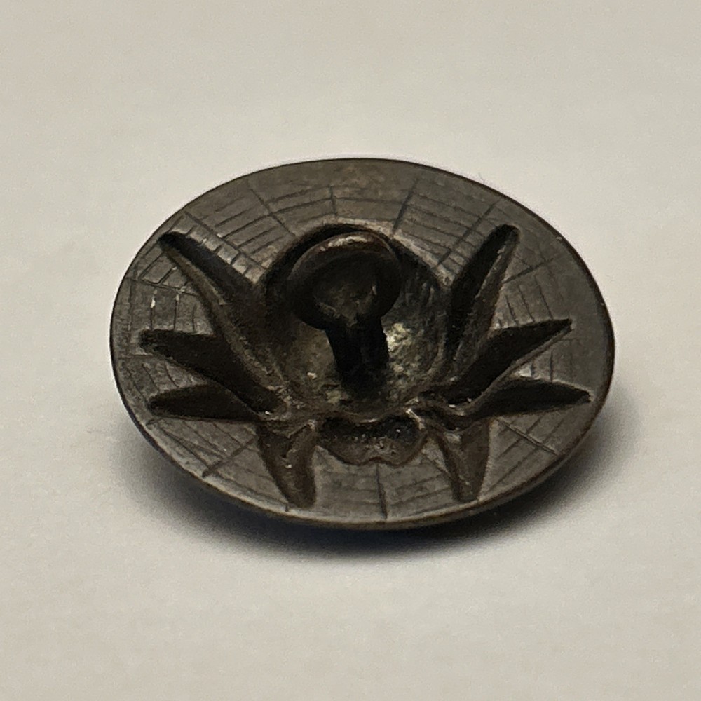 Vintage large 1920-30's brass spider on Web button