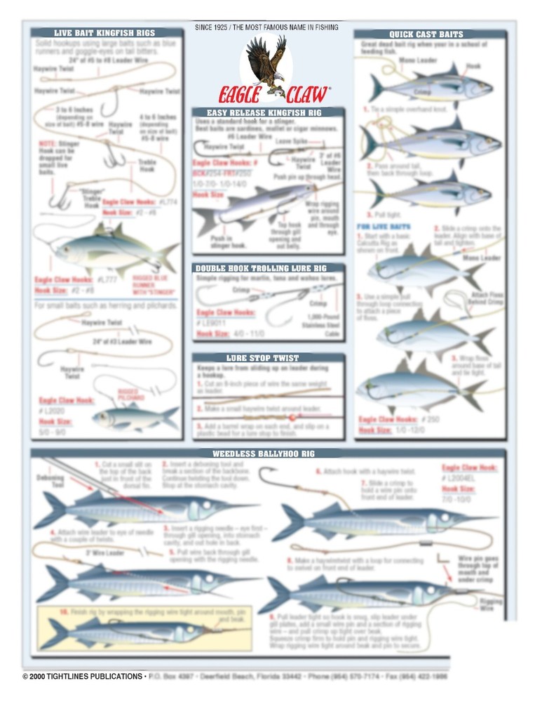 Saltwater Bait Rigging #5 - Waterproof Reference Guide