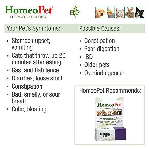 HomePet Digestive Upsets