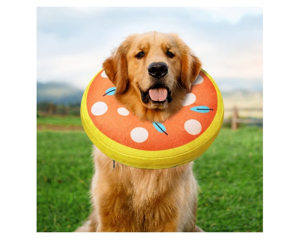 Inflatable Dog Collar For Recovery. Large.
