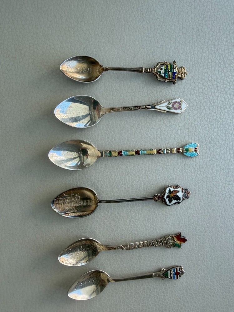 6 Sterling and Enamel Spoons