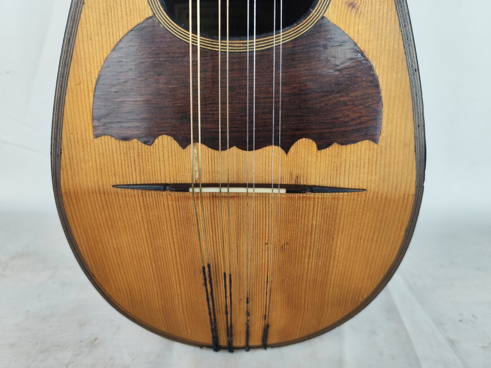 Mandolin Alberto Alberti 1905 Rome 曼陀林 만돌린マンドリン