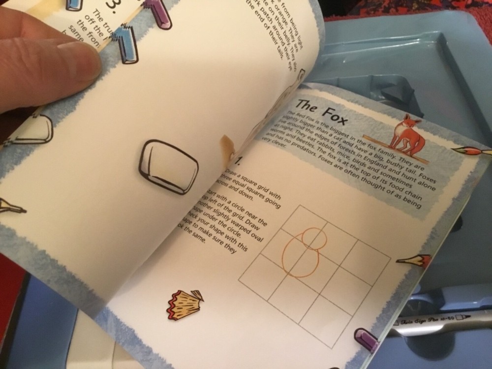 Draw Animals Book & Kit