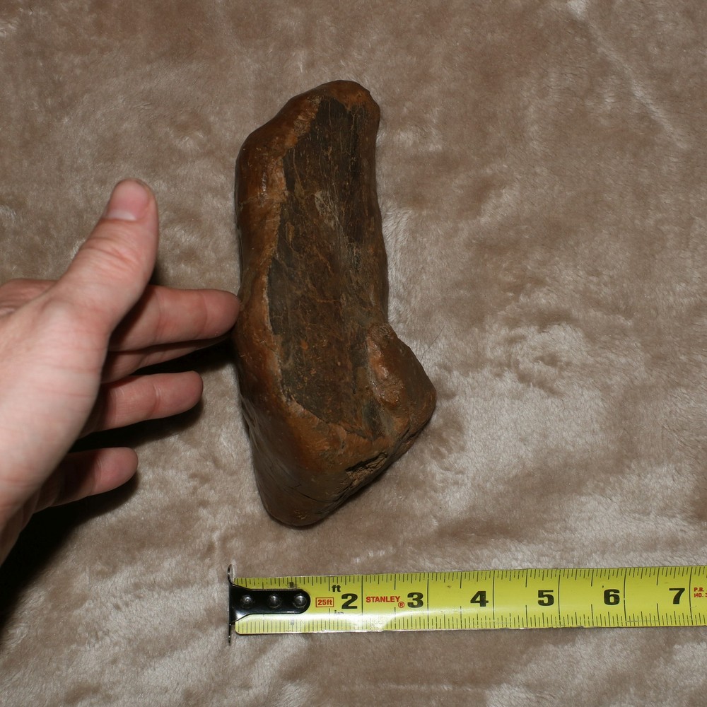 Unknown Dinosaur Bone Fossil - Heavy Thick Skull Hell Creek Formation Cretaceous