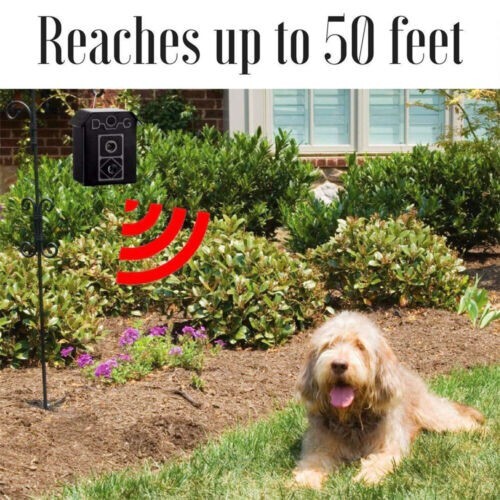 outdoor ultrasonic anti-barking device