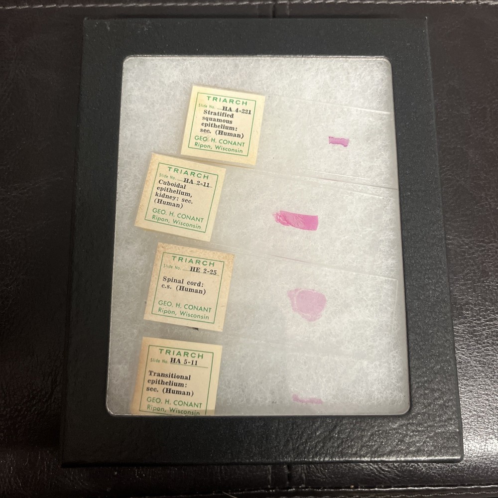 Human Tissue Samples: NIH Research Policies and Practices