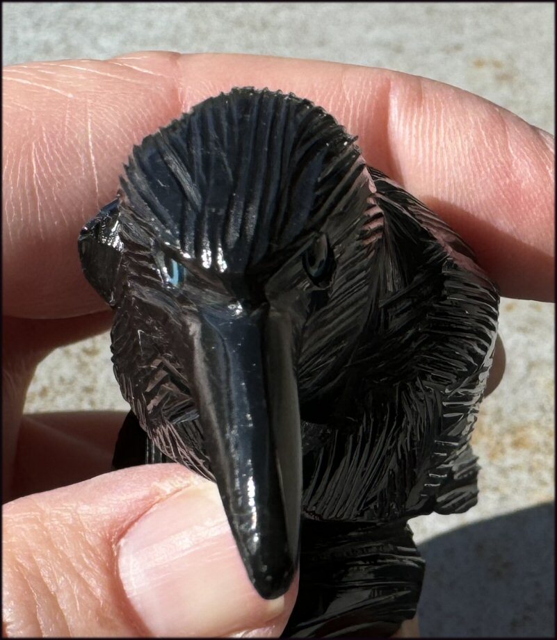 Medium Black Onyx RAVEN Carving w/ Blue Eyes