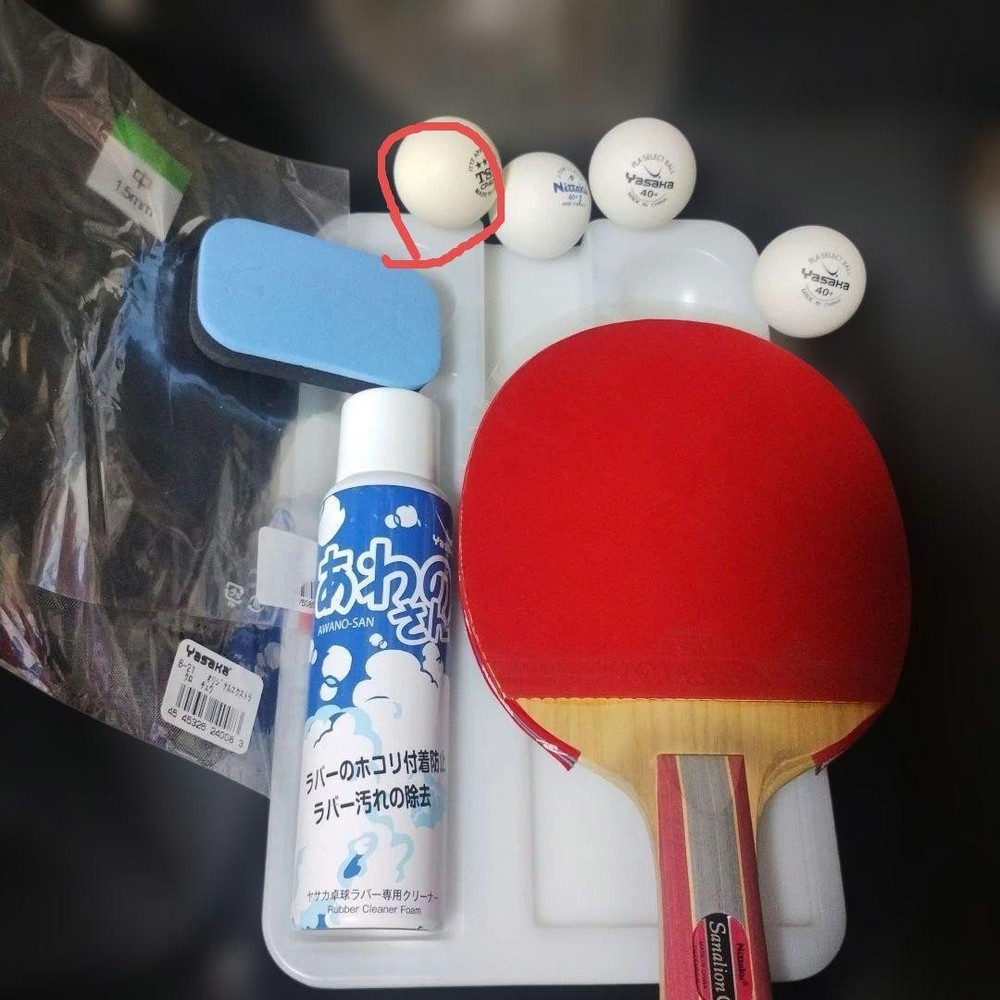 Nittaku Table Racket Set