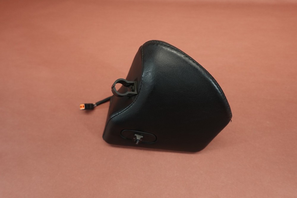 1999-2000 Harley Davidson Electra Glide FLHTCUI LEFT SPEAKER
