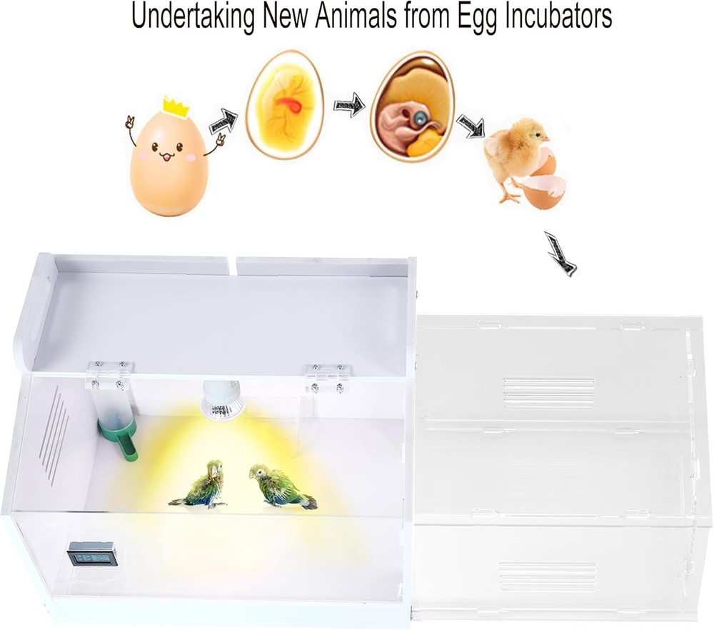 Iarge-Scale Chick brooder Box Quail Cage Egg Incubator Chick Starter Kit Chic...