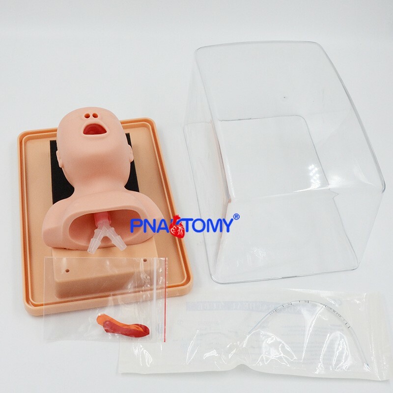 Newborn Neonatal Tracheal Intubation Training Model