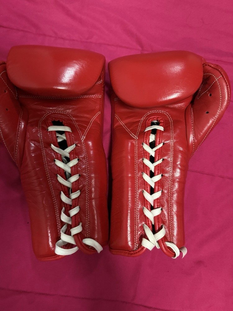 Cleto Reyes Sparring set
