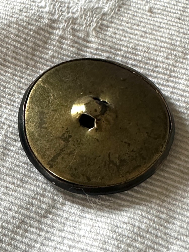 Antique Button Brass Toned Reptile Shank Button