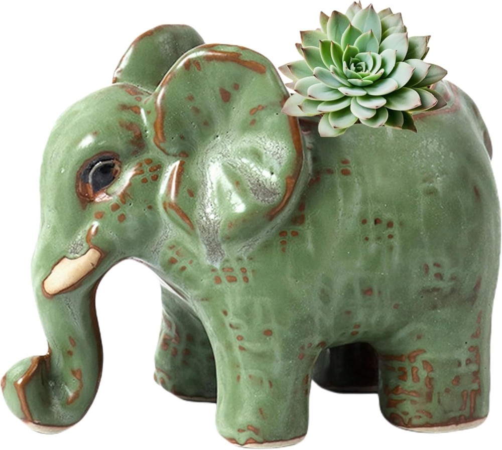 Cute elephant-shaped ceramic succulent planter.