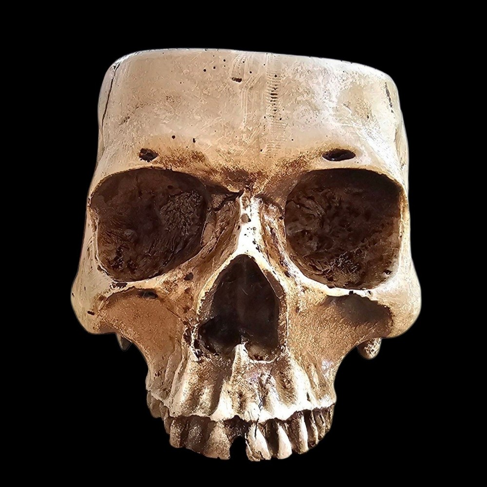 Trunk Of Requirements Experimental Test Subject Skull