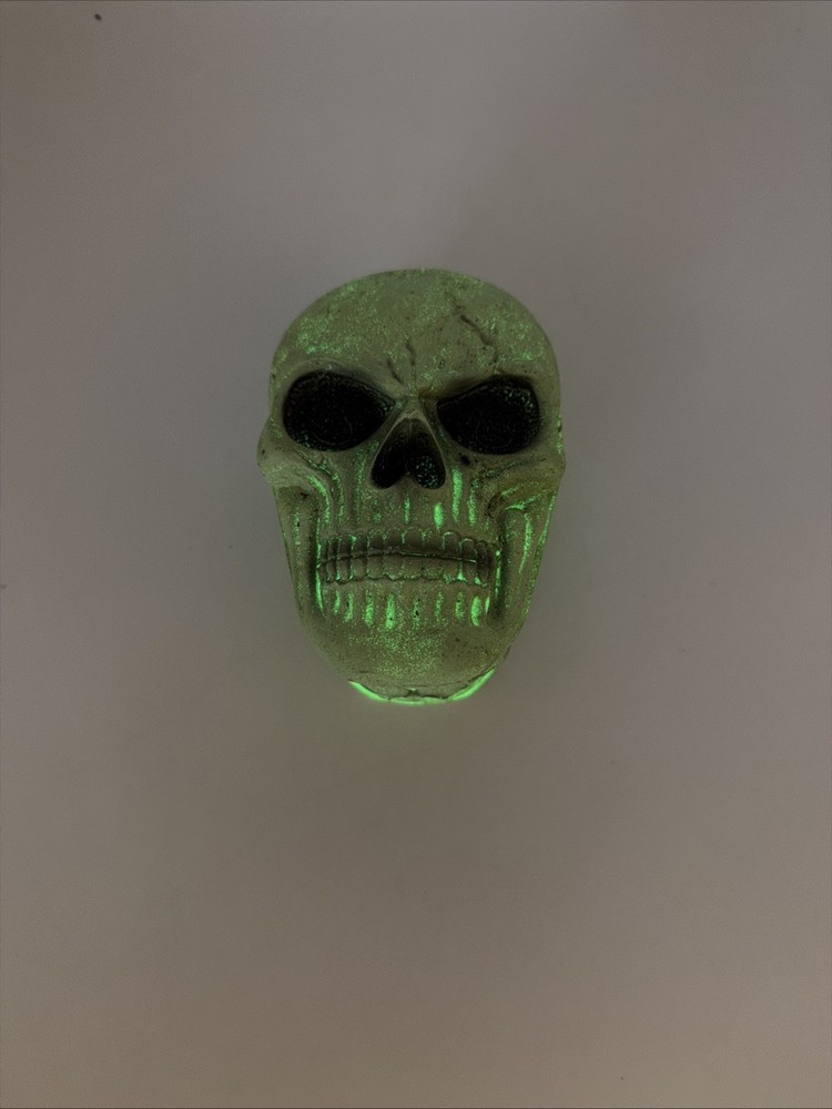 Skull Storage Box
