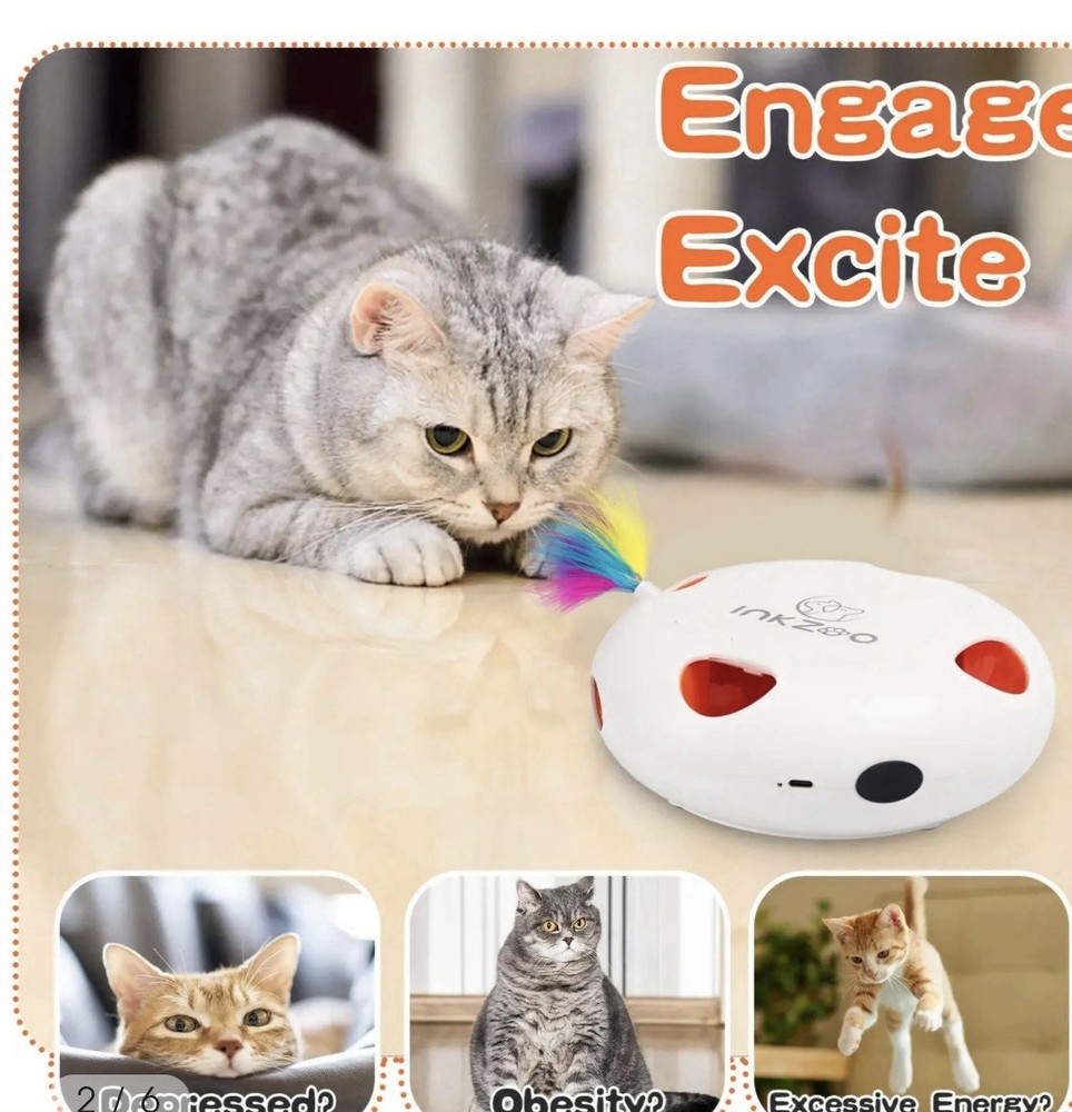 BRAND NEW WHACK A MOLE SMART CAT TOY