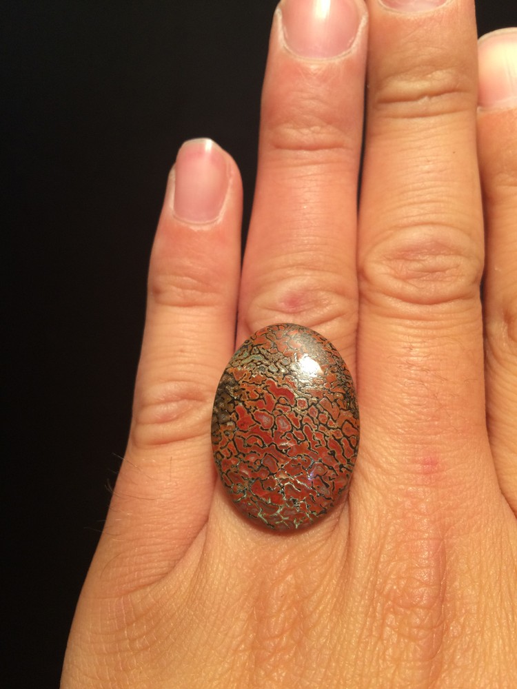 Adjustable Women's Ring Silver DINOSAUR BONE FOSSIL