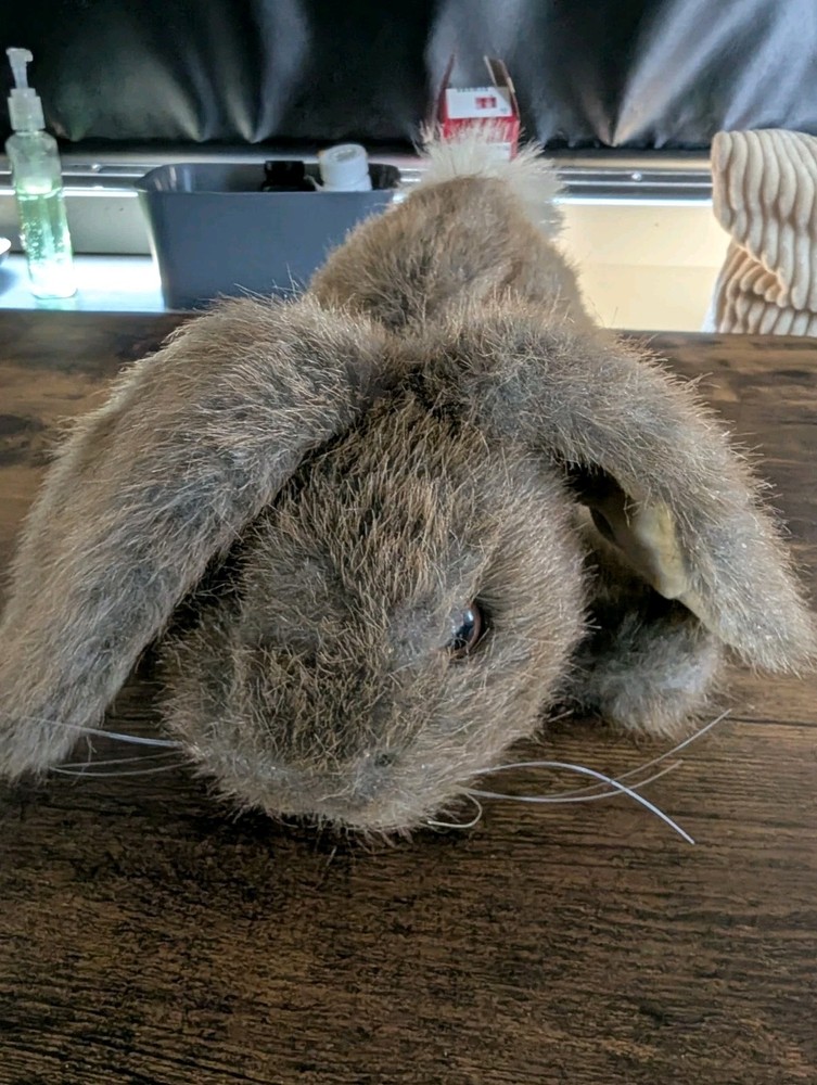 Dankin Puppet Rabbit
