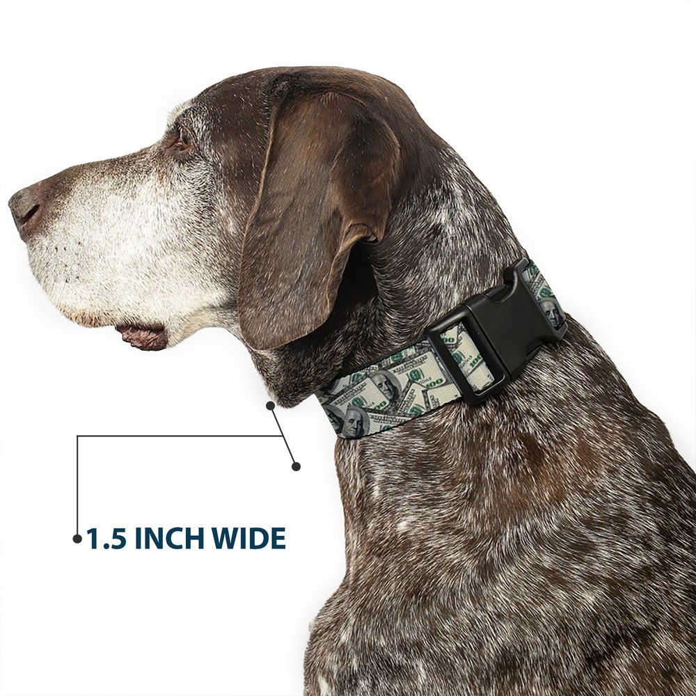 Plastic Clip Collar Benjamins Medium 11-16.5"