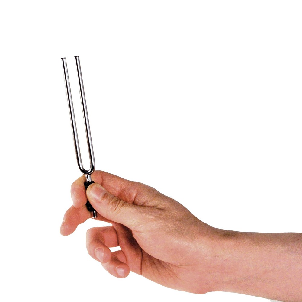 D'Addario Accessories Tuning Fork