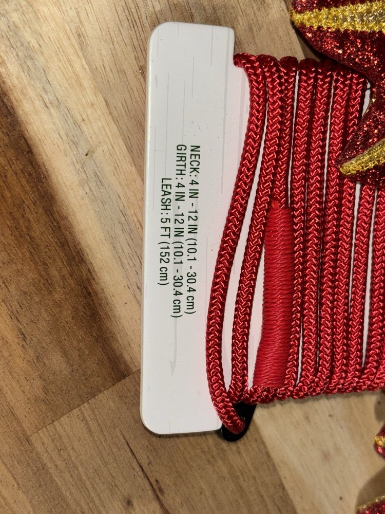 bearded dragon dragon wings costume