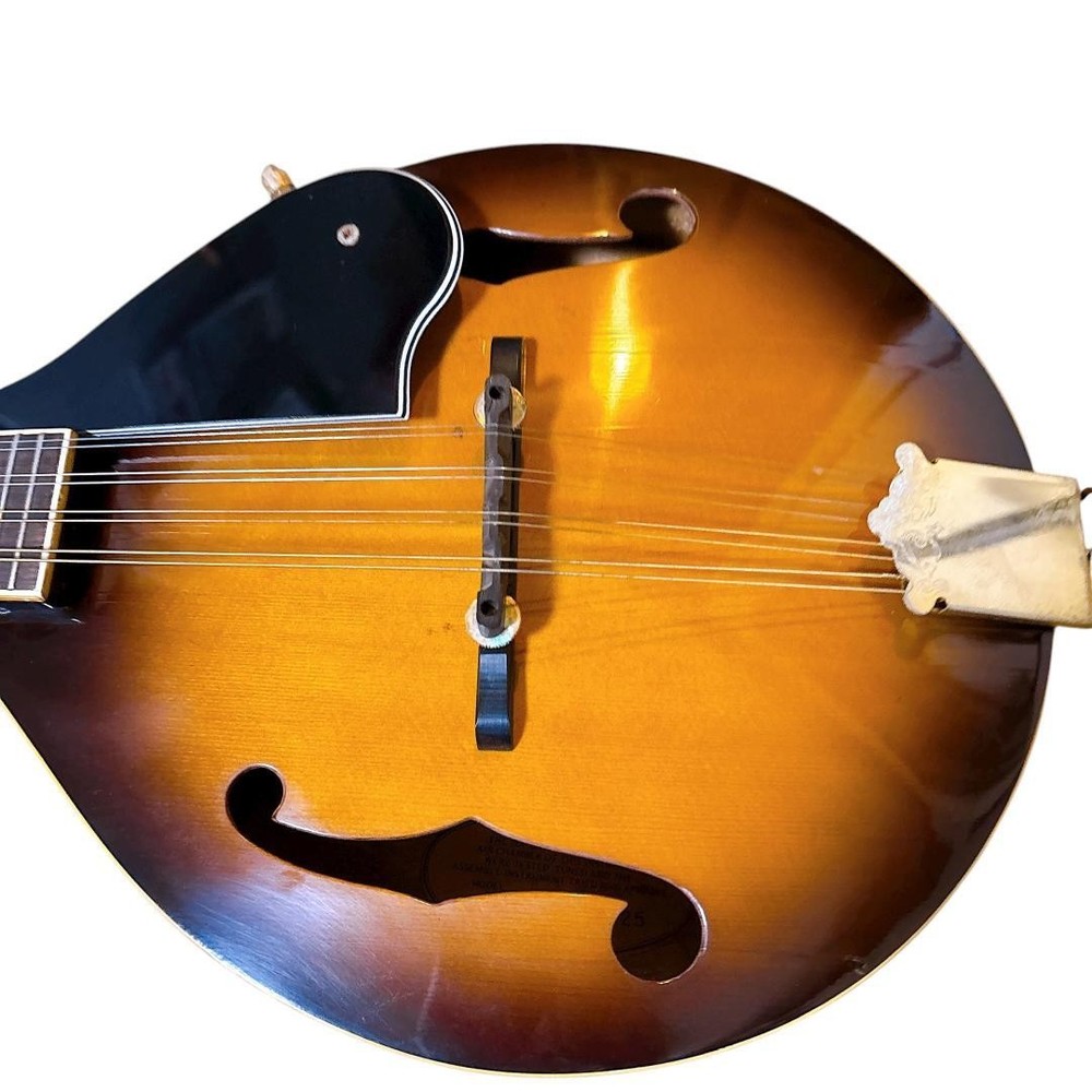 Rare 1970's Bluebell flat mandolin/H case