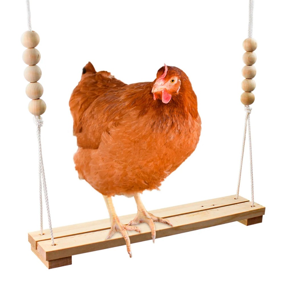Chicken Swing- Fun & Unique Accessory- Chickens and Wild Birds
