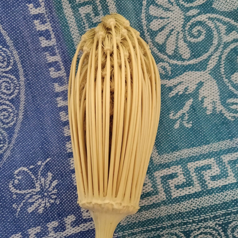 Berber toothpick - 100 pcs